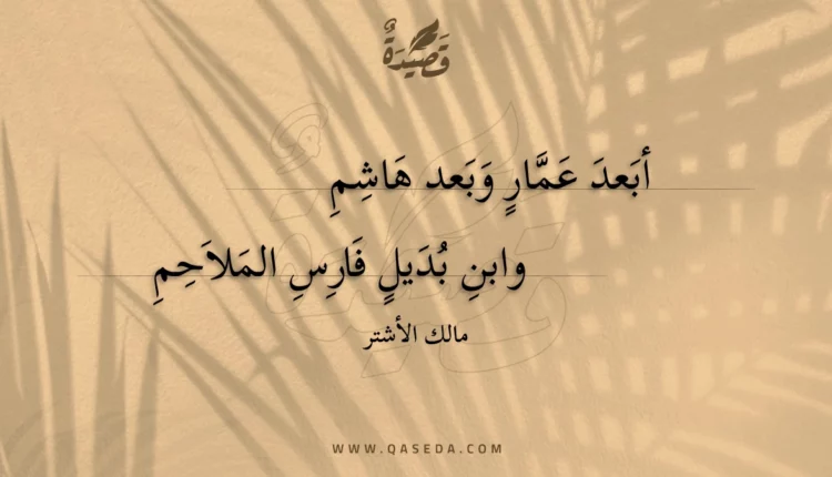 قصيدة أبعد عمار وبعد هاشم