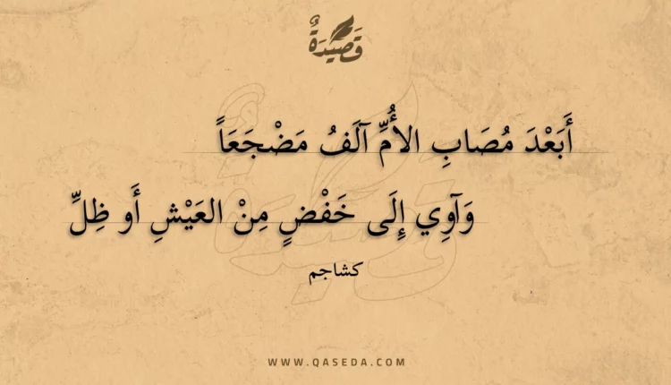 قصيدة أبعد مصاب الأم آلف مضجعا