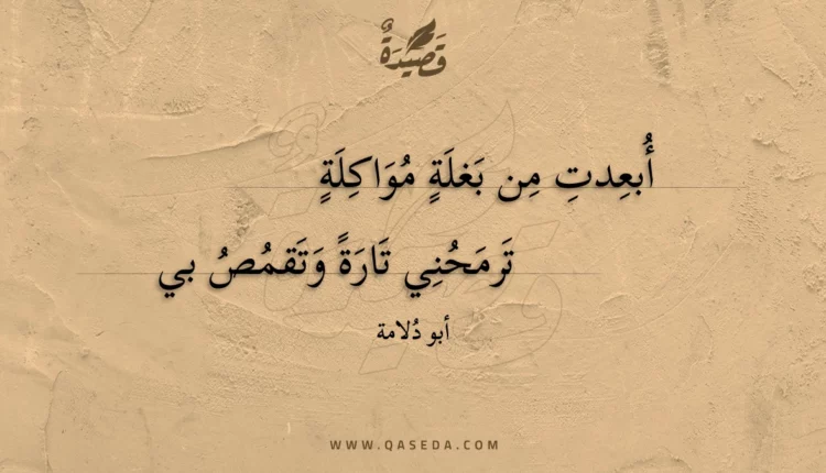 قصيدة أبعدت من بغلة مواكلة