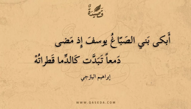 قصيدة أبكى بني الصباغ يوسف إذ مضى