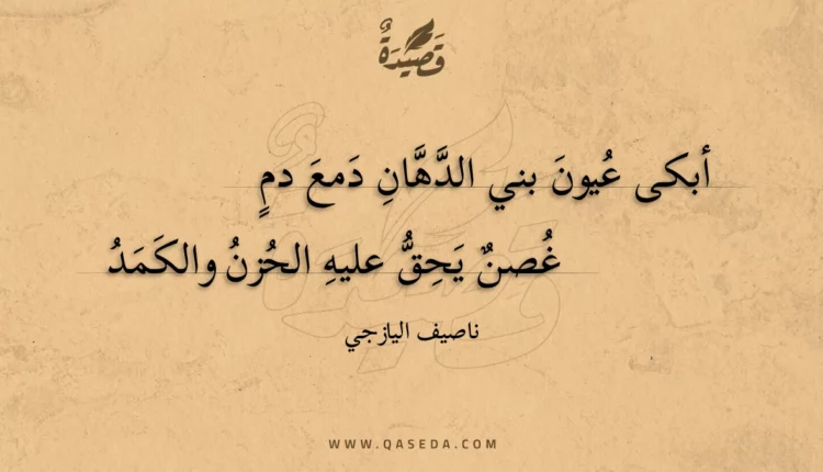 قصيدة أبكى عيون بني الدهان دمع دم