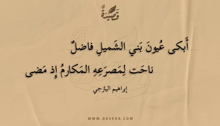 قصيدة أبكى عيون بني الشميل فاضل