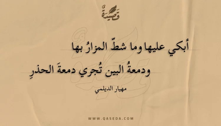 قصيدة أبكي عليها وما شط المزار بها