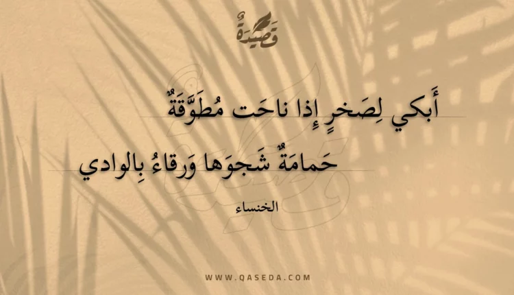 قصيدة أبكي لصخر إذا ناحت مطوقة