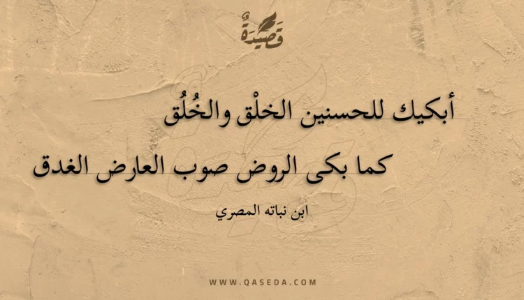 قصيدة أبكيك للحسنين الخلق والخلق