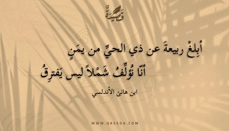 قصيدة أبلغ ربيعة عن ذي الحي من يمن