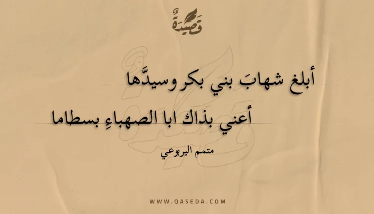 قصيدة أبلغ شهاب بني بكر وسيدها