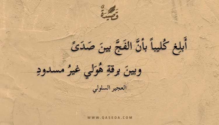 قصيدة أبلغ كليبا بأن الفج بين صدى