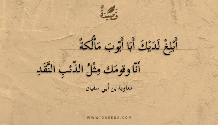 قصيدة أبلغ لديك أبا أيوب مألكة