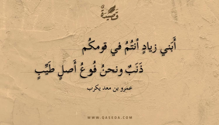 قصيدة أبني زياد أنتم في قومكم