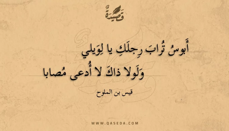 قصيدة أبوس تراب رجلك يا لويلي