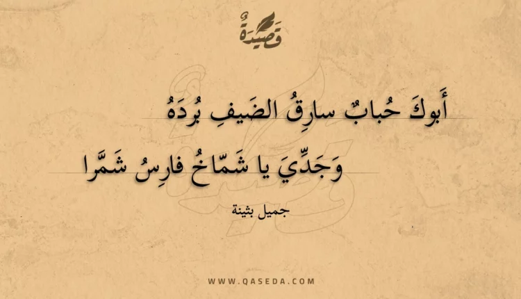 قصيدة أبوك حباب سارق الضيف برده