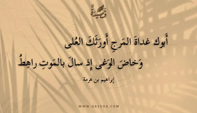 قصيدة أبوك غداة المرج أورثك العلى