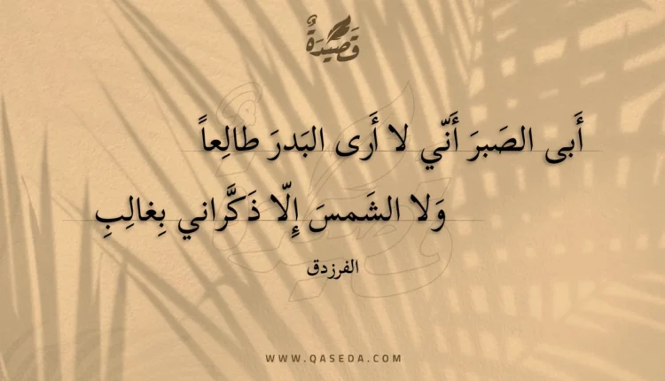قصيدة أبى الصبر أني لا أرى البدر طالعاً