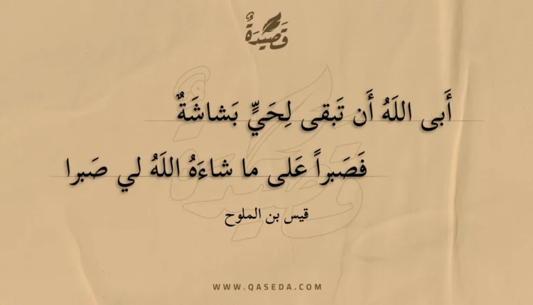 قصيدة أبى الله أن تبقى لحي بشاشة