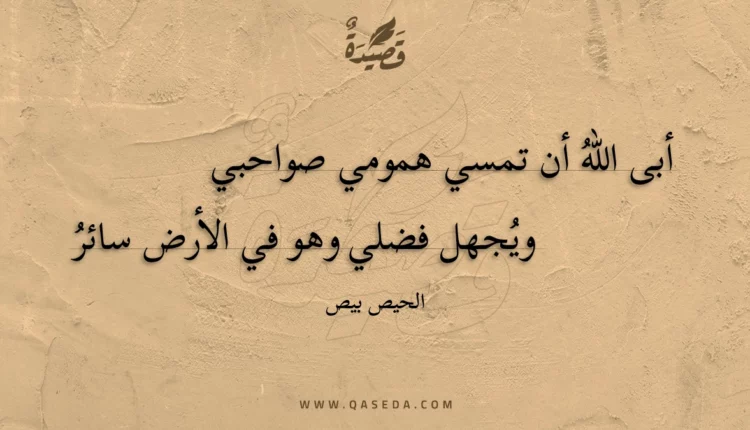 قصيدة أبى الله أن تمسي همومي صواحبي