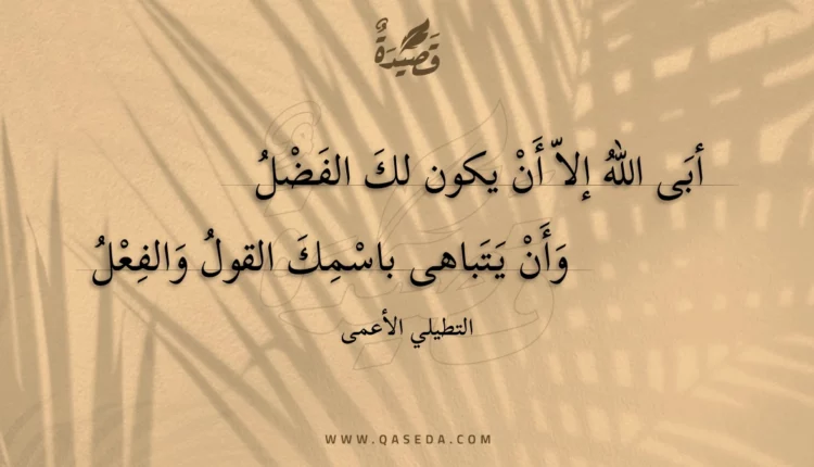 قصيدة أبى الله إلا أن يكون لك الفضل
