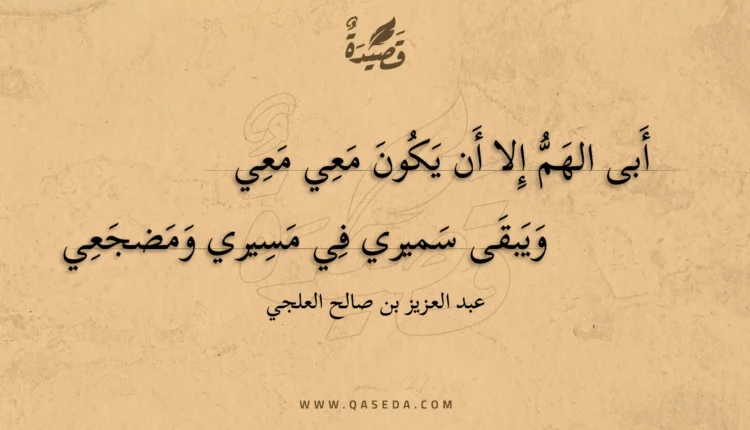 قصيدة أبى الهم إلا أن يكون معي معي