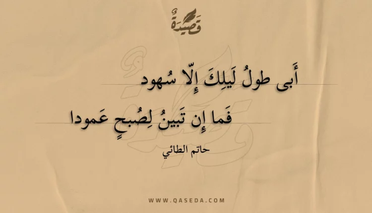 قصيدة أبى طول ليلك إلا سهود