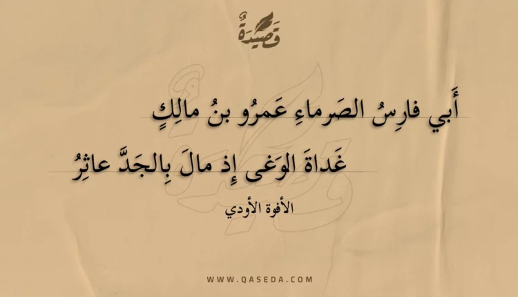 قصيدة أبي فارس الصرماء عمرو بن مالك