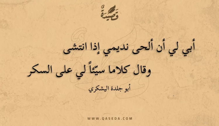 قصيدة أبي لي أن ألحى نديمي إذا انتشى