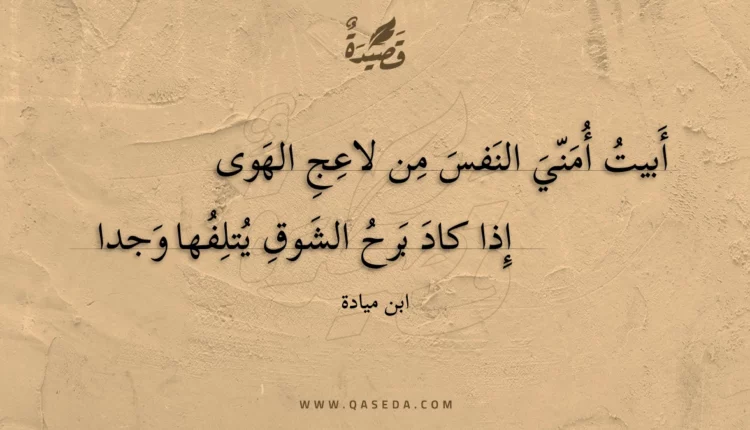 قصيدة أبيت أمني النفس من لاعج الهوى