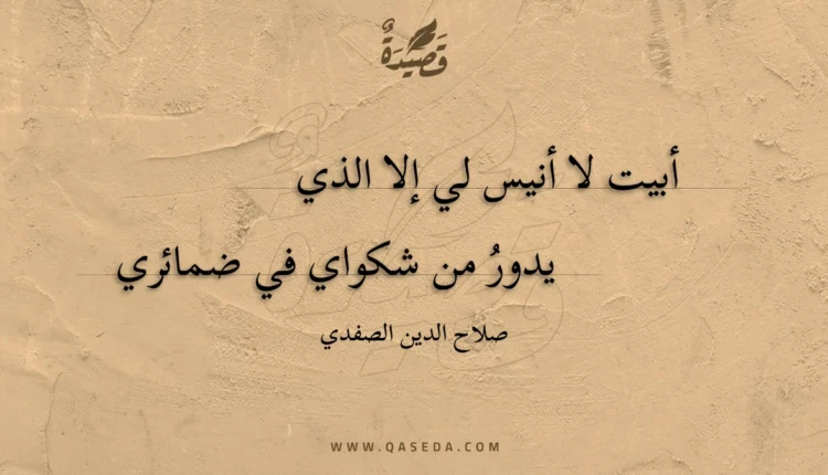 قصيدة أبيت لا أنيس لي إلا الذي