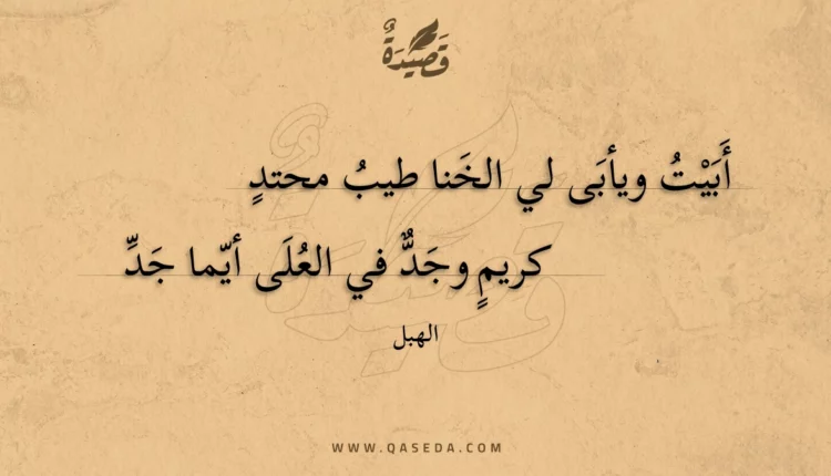 قصيدة أبيت ويأبى لي الخنا طيب محتد