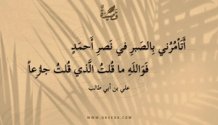 قصيدة أتأمرني بالصبر في نصر أحمد