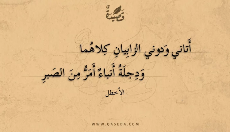 قصيدة أتاني ودوني الزابيان كلاهما