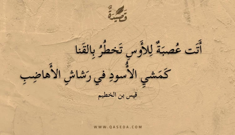 قصيدة أتت عصبة للأوس تخطر بالقنا
