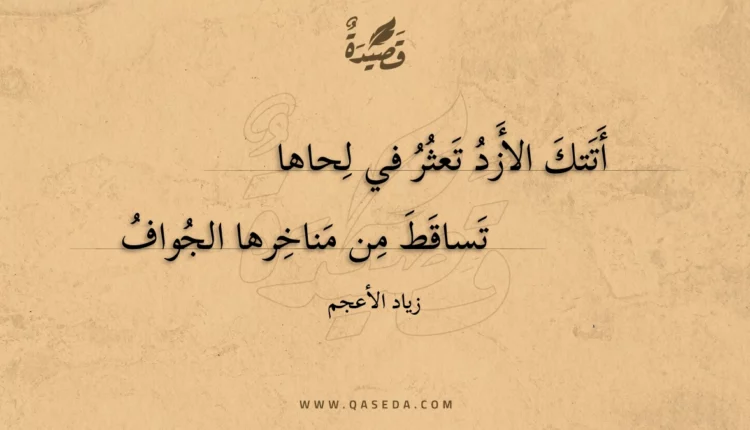 قصيدة أتتك الأزد تعثر في لحاها