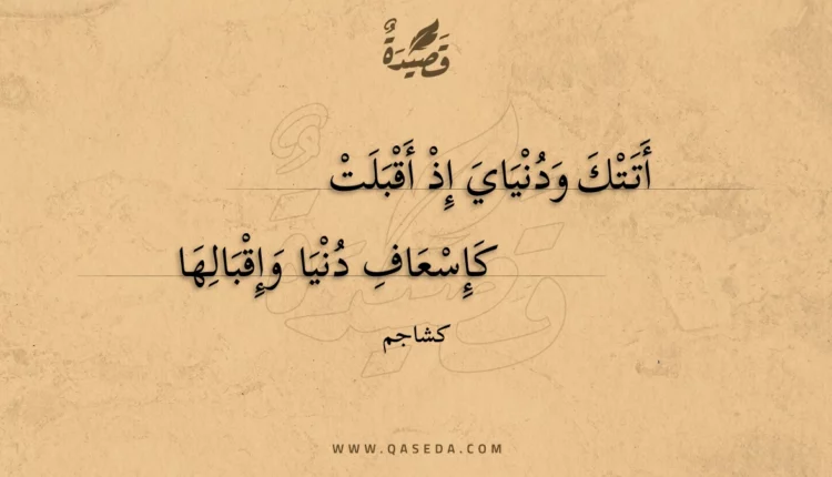 قصيدة أتتك ودنياي إذ أقبلت