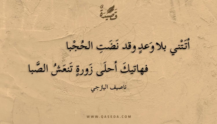 قصيدة أتتني بلا وعد وقد نضت الحجبا