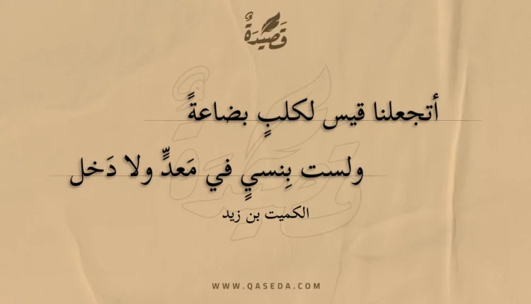 قصيدة أتجعلنا قيس لكلب بضاعة