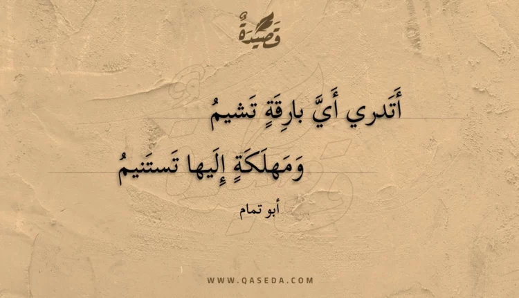 قصيدة أتدري أي بارقة تشيم