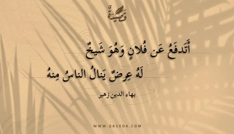 قصيدة أتدفع عن فلان وهو شيخ
