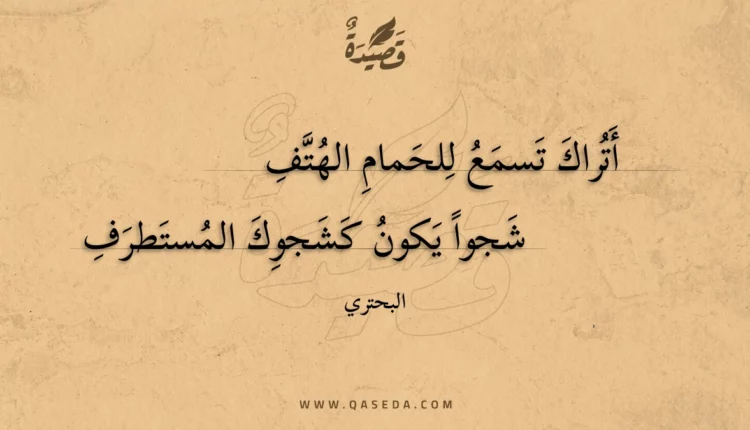 قصيدة أتراك تسمع للحمام الهتف