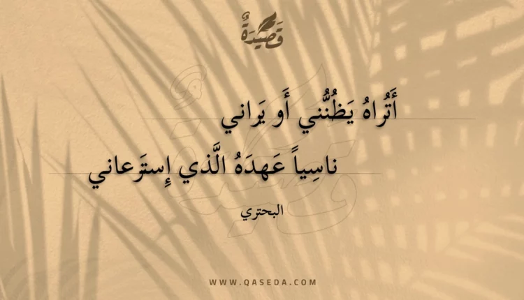 قصيدة أتراه يظنني أو يراني