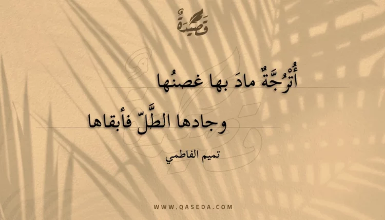 قصيدة أترجة ماد بها غصنها
