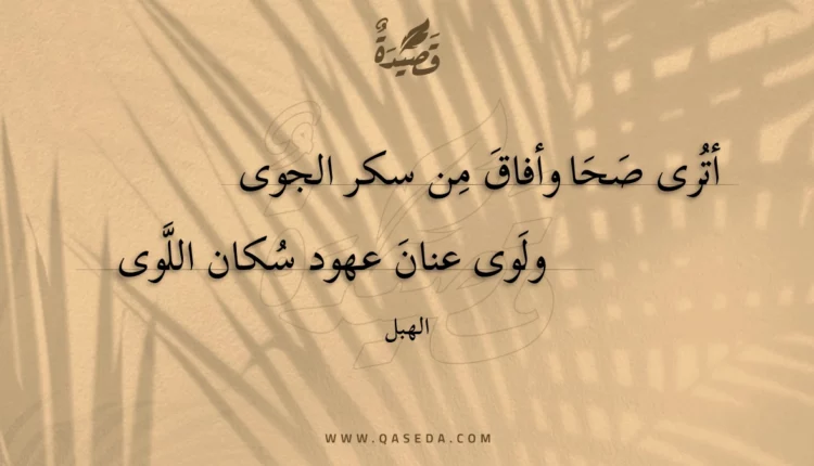 قصيدة أترى صحا وأفاق من سكر الجوى