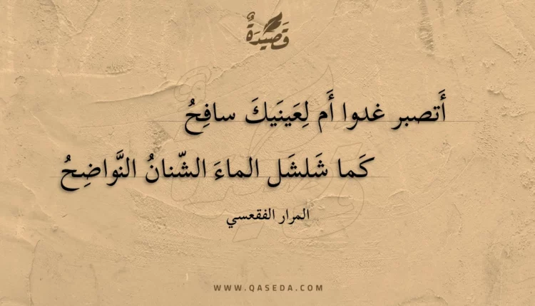 قصيدة أتصبر غدوا أم لعينيك سافح