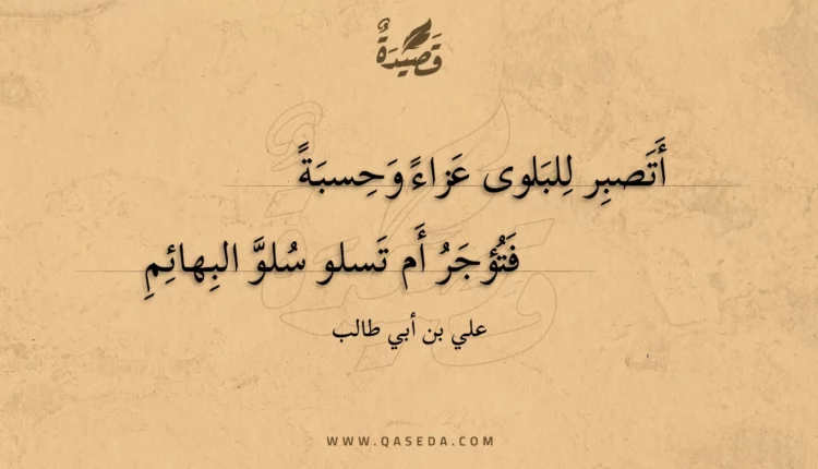 قصيدة أتصبر للبلوى عزاء وحسبة