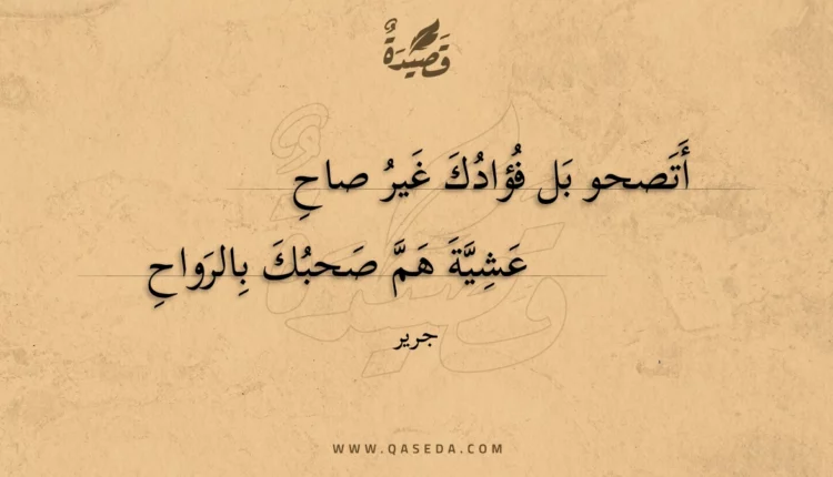 قصيدة أتصحو بل فؤادك غير صاح
