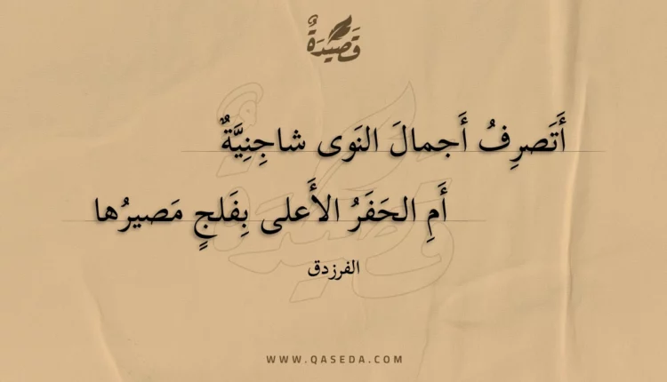 قصيدة أتصرف أجمال النوى شاجنية