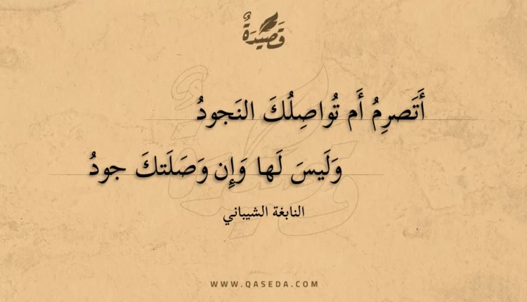 قصيدة أتصرم أم تواصلك النجود
