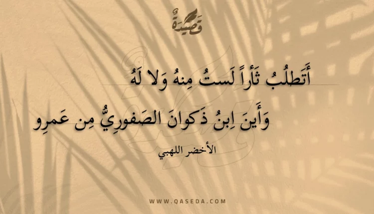 قصيدة أتطلب ثأرا لست منه ولا له
