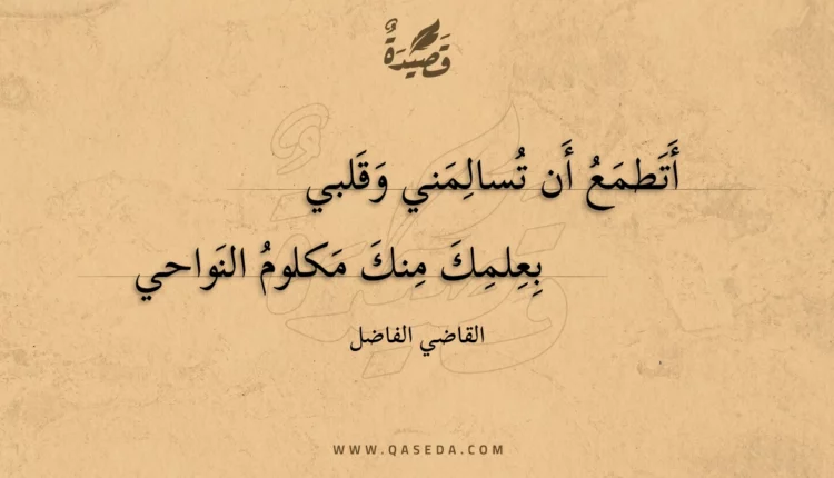 قصيدة أتطمع أن تسالمني وقلبي