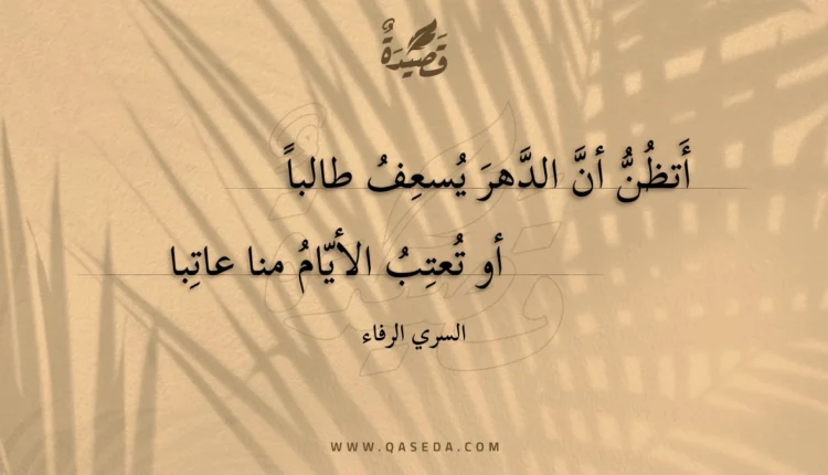 قصيدة أتظن أن الدهر يسعف طالبا