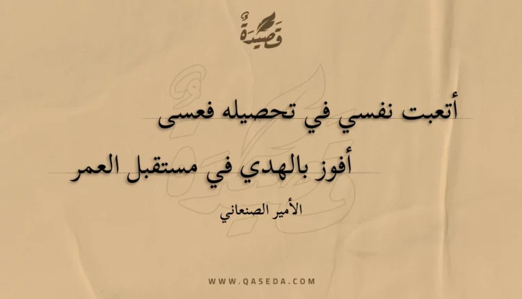 قصيدة أتعبت نفسي في تحصيله فعسى